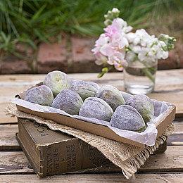 回合制游戏《Vagrus：河流王国》正式版上线 10月5日发售